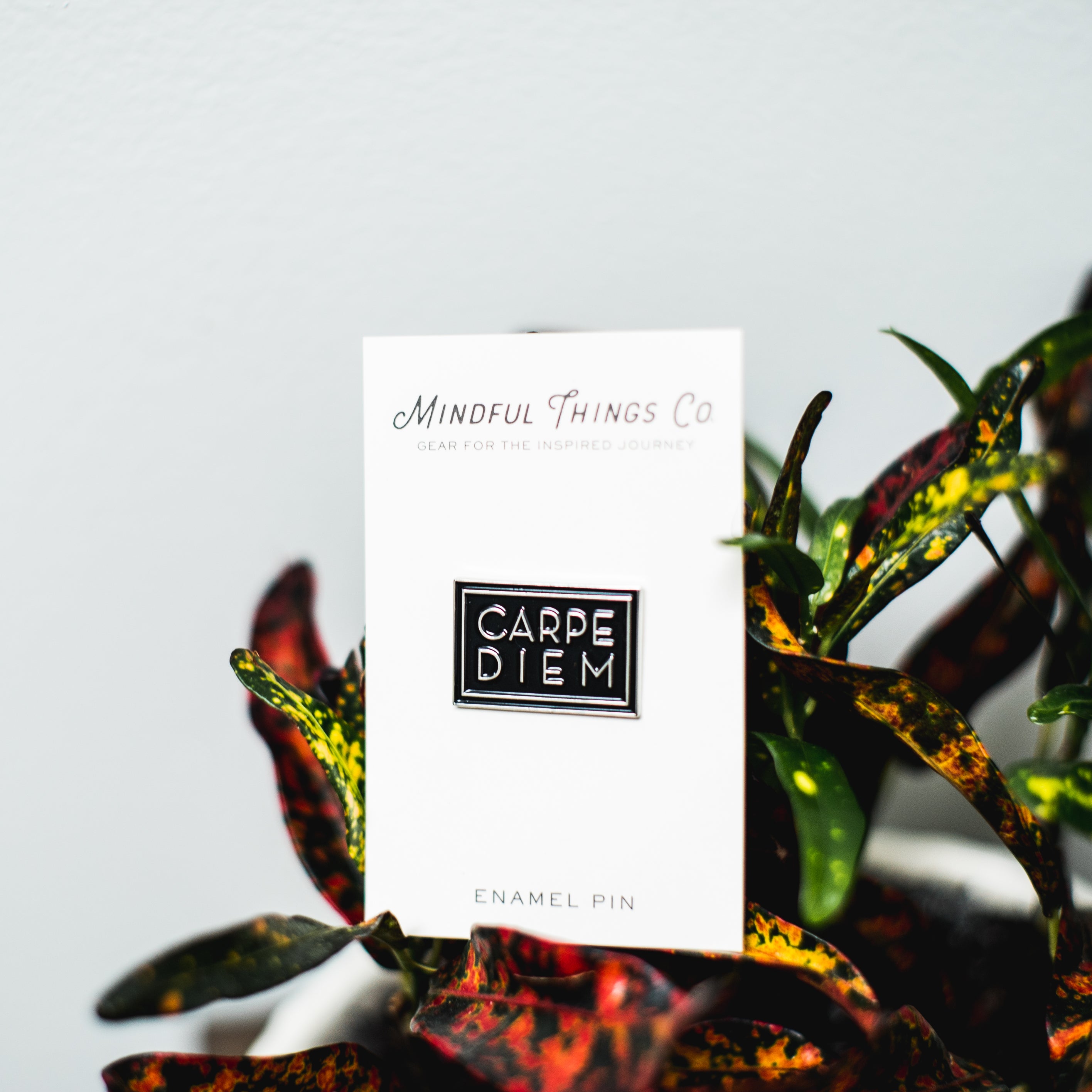 Carpe Diem Seize the Day Enamel Pin – Mindful Things Co.